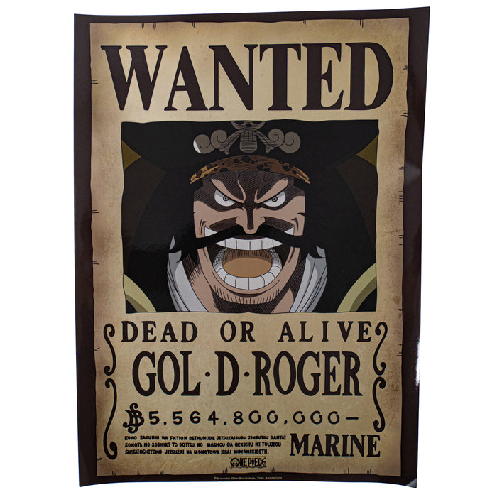 productImage-21880-one-piece-wanted-poster-6.jpg