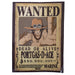 productImage-21880-one-piece-wanted-poster-9.jpg