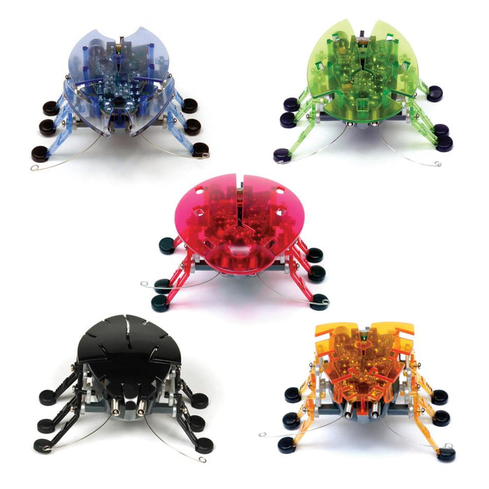 productImage-4855-hexbugs-2.jpg